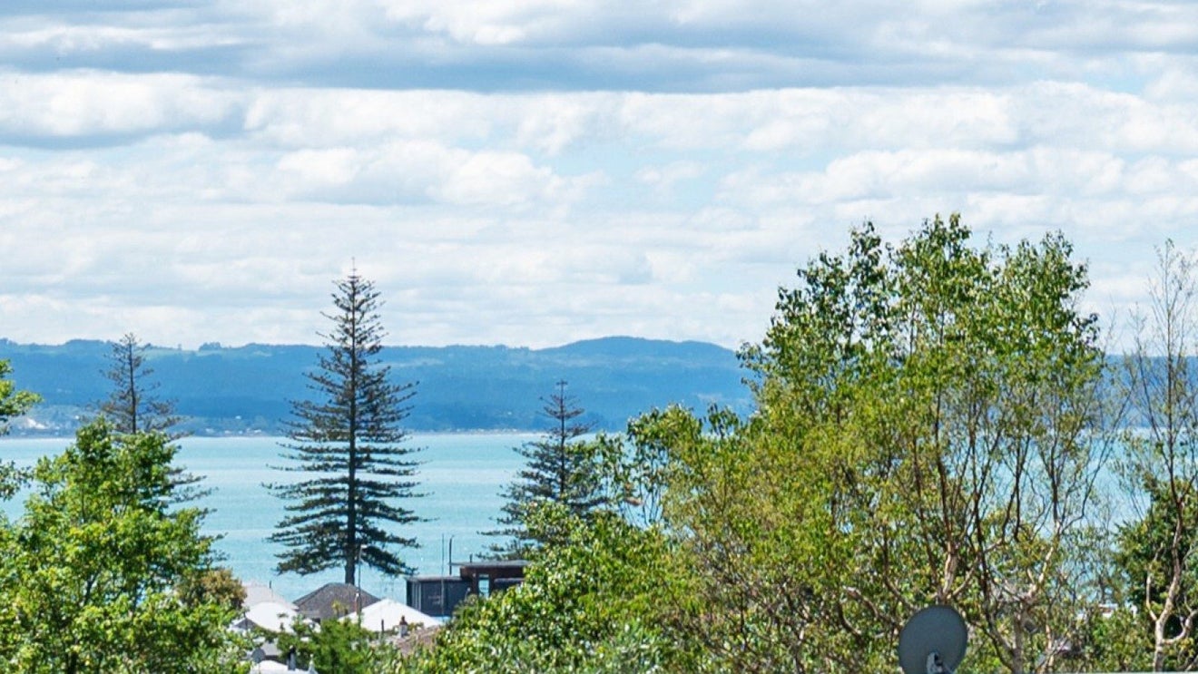 151 Milton Road, Bluff Hill, Napier - Carousel 2