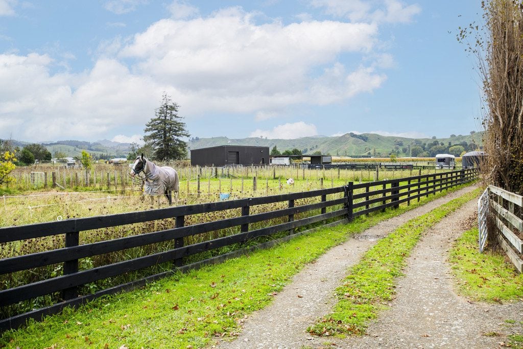 1290 Matawai Road, Ormond - Carousel 22