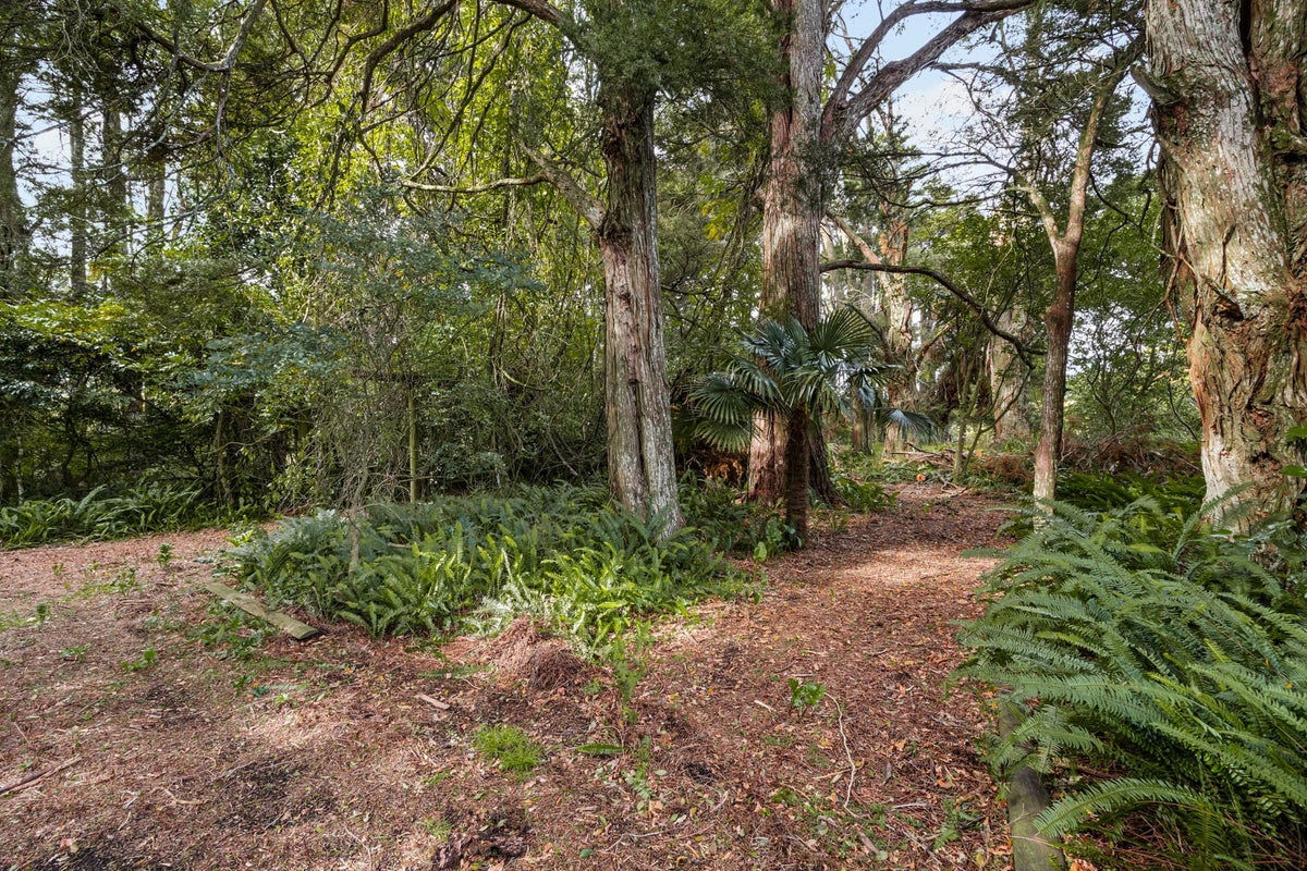 2130 Gordonton Road, Taupiri, Taupiri - Carousel 23