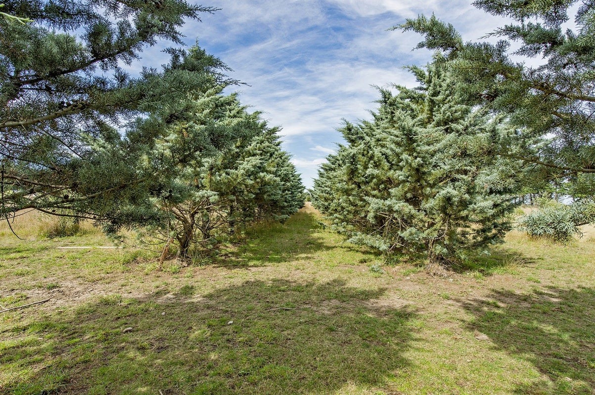 2181E South Eyre Road, Eyrewell, West Eyreton - Carousel 12