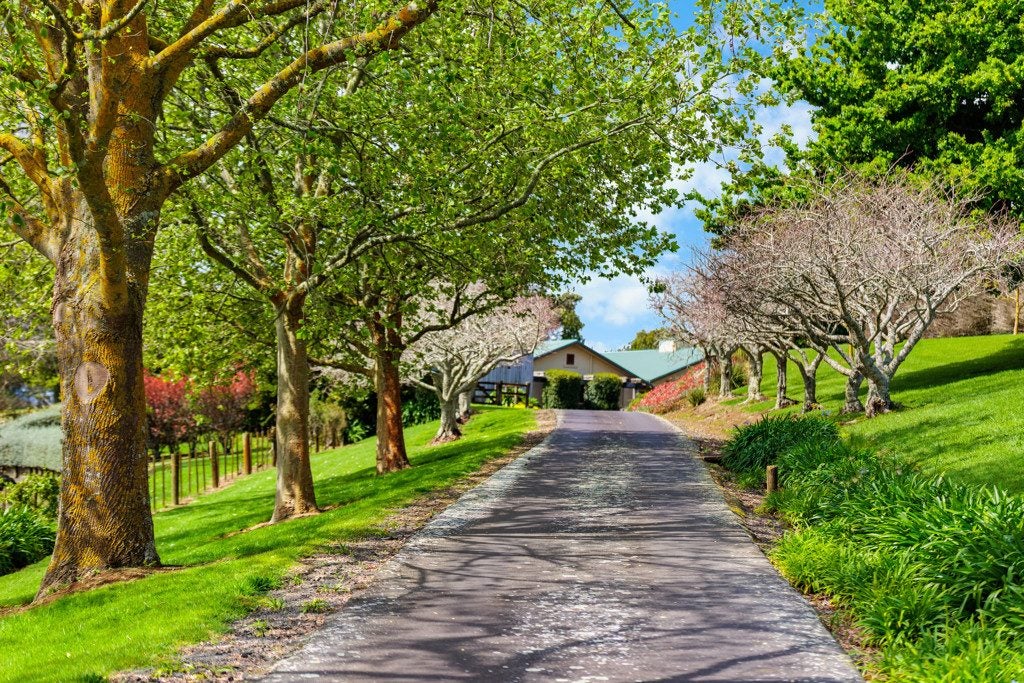 44 Arana Drive, Karaka, Drury - Carousel 2