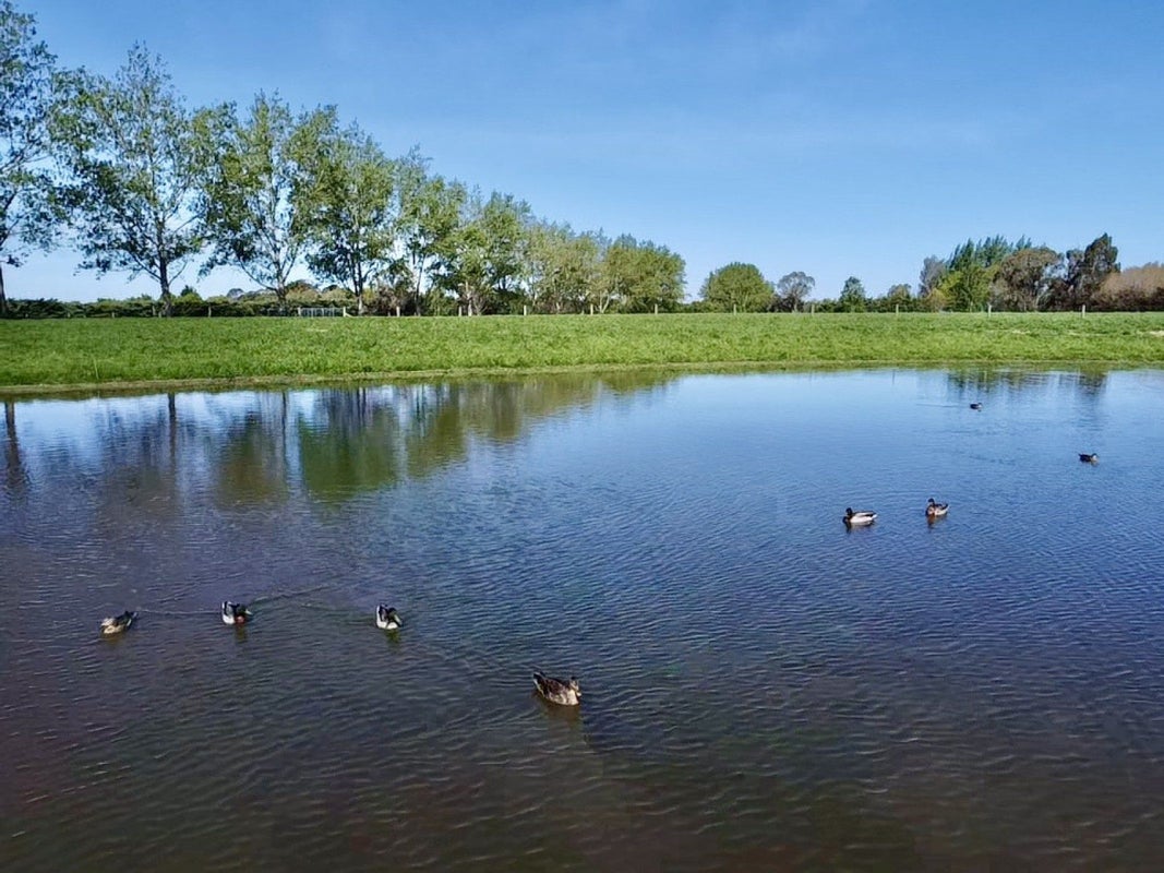 27 Houstoun Road, Levels - Carousel 1