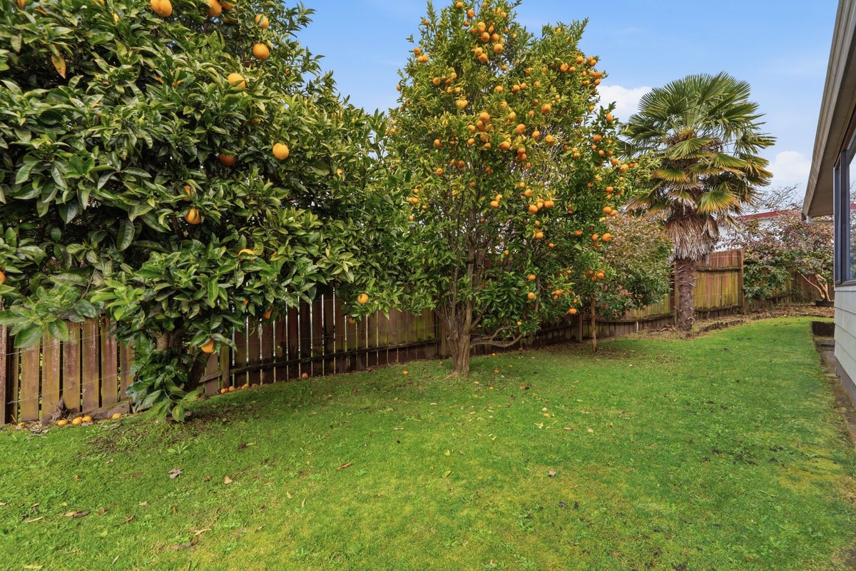 21 Bayview Street, Te Puke, Te Puke - Carousel 1