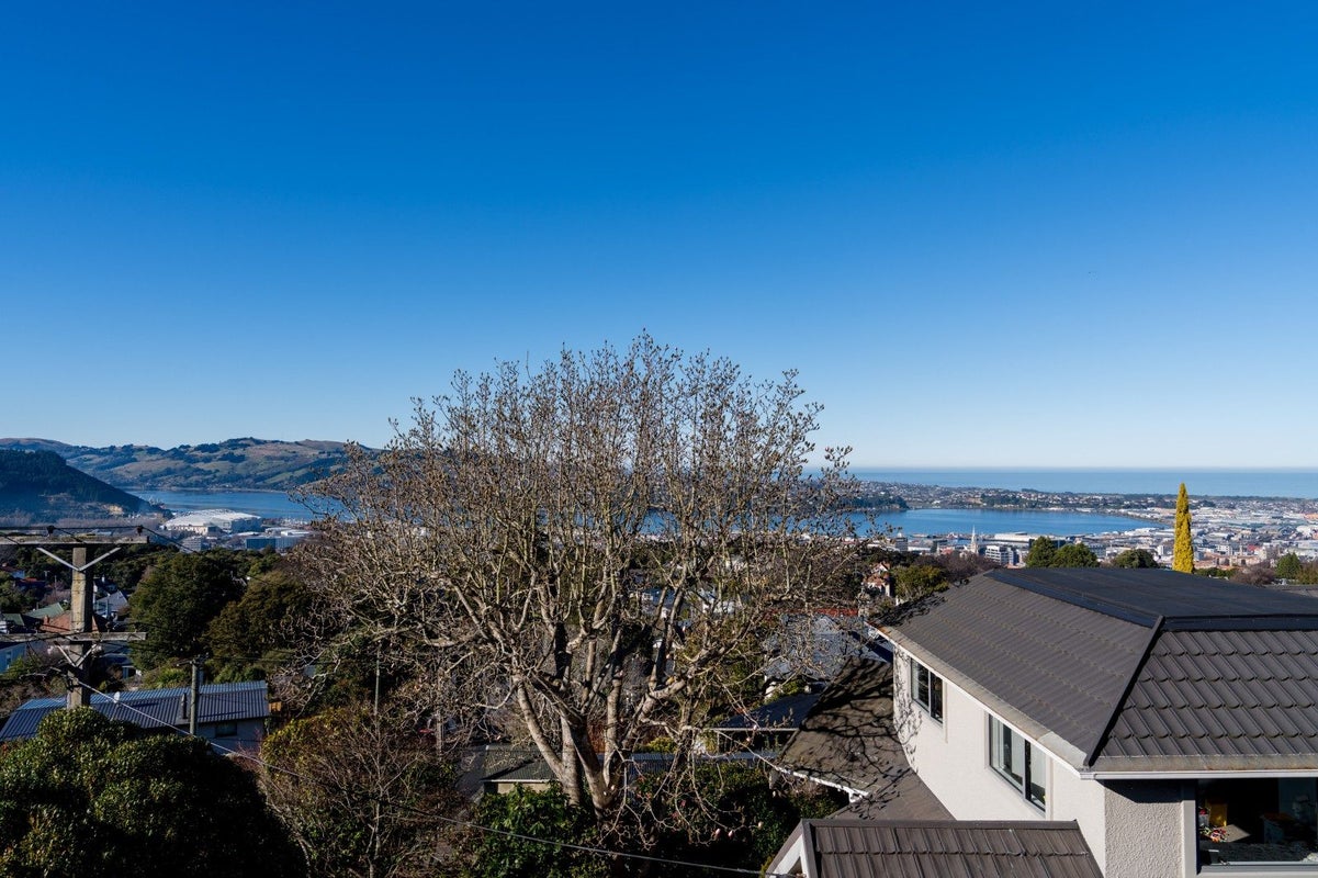 10 Garfield Avenue, Roslyn, Dunedin - Carousel 38
