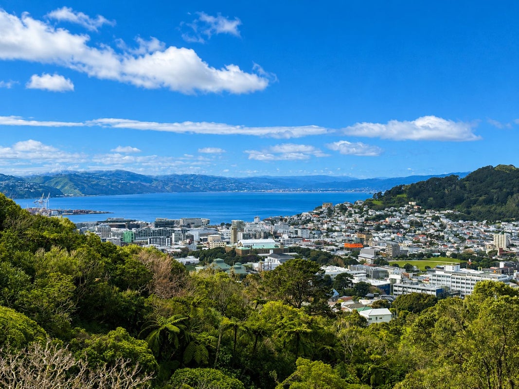 22 Dorking Road, Brooklyn, Wellington - Carousel 2