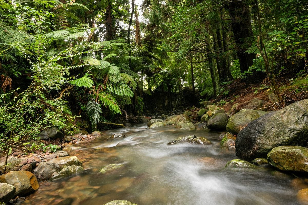 257 Willoughby Road, Tahawai, Katikati - Carousel 2