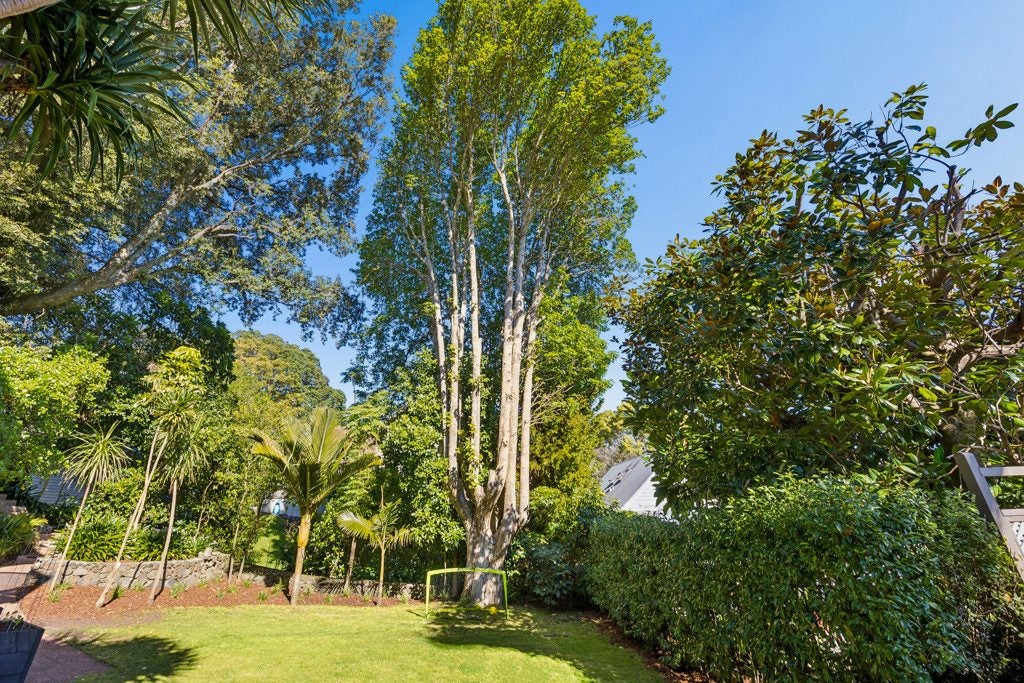 16A Ngauruhoe Street, Mount Eden, Auckland - Carousel 2