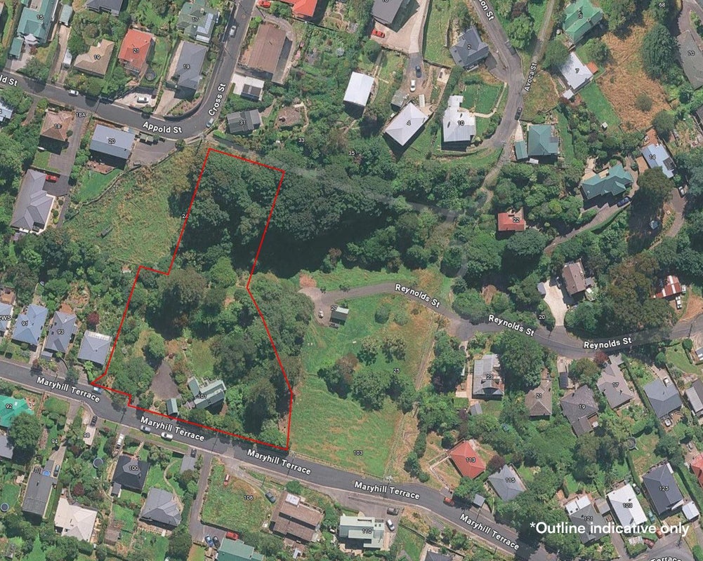 101 Maryhill Terrace, Maryhill, Dunedin, Otago - Carousel 33