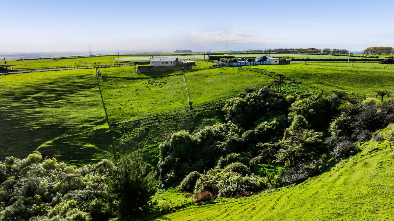 902 Ararata Road, Hawera - Carousel 23