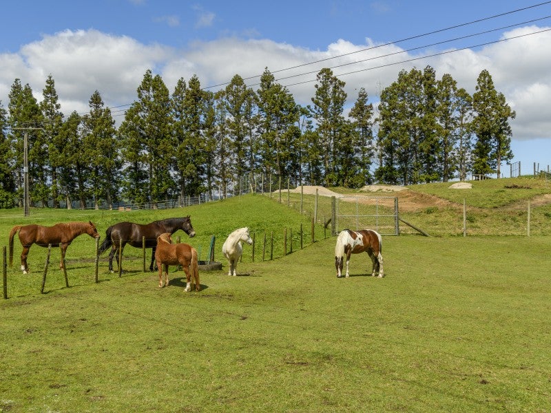 450 Mclaren Falls Road, Omanawa, Tauranga - Carousel 1