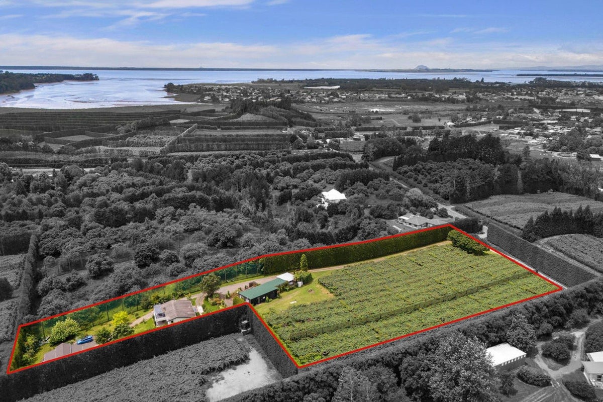 28 Lindemann Road, Katikati, Katikati - Carousel 29