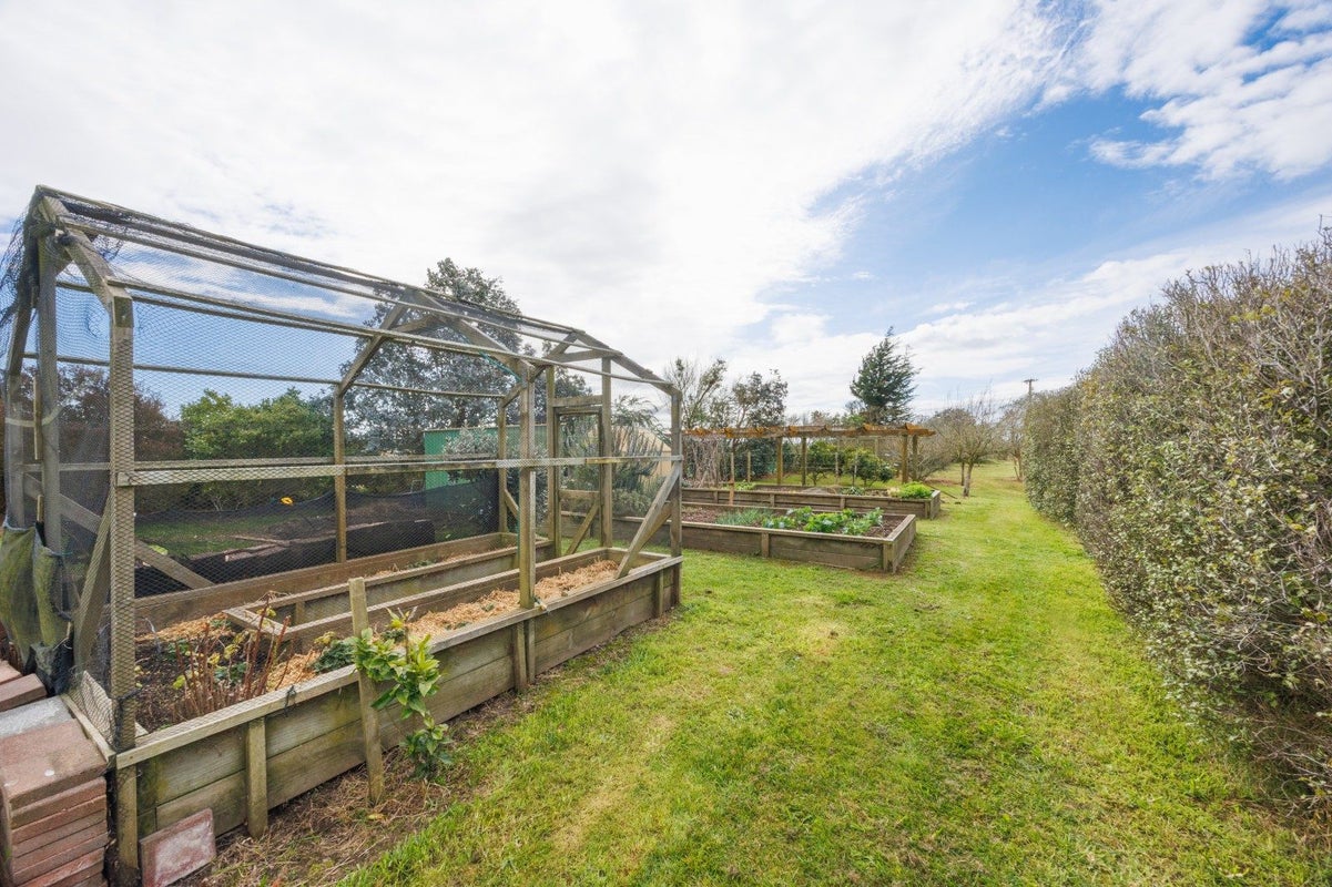 366 Motuiti Road, Foxton, Foxton - Carousel 44