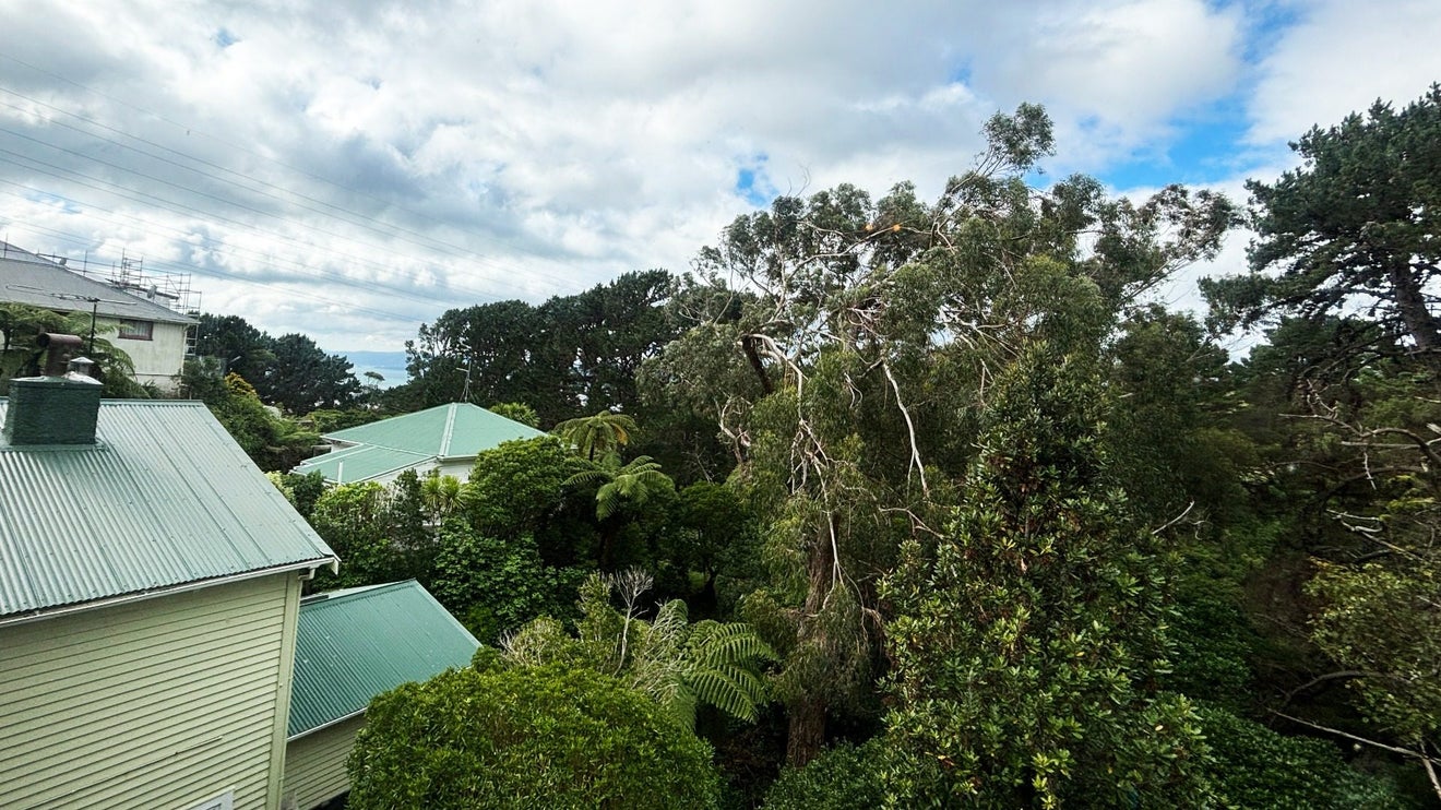 51 Mortimer Terrace, Brooklyn, Wellington - Carousel 9