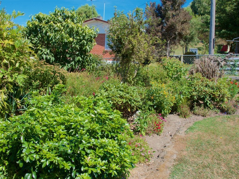 5 Missel Street, Taihape - Carousel 26