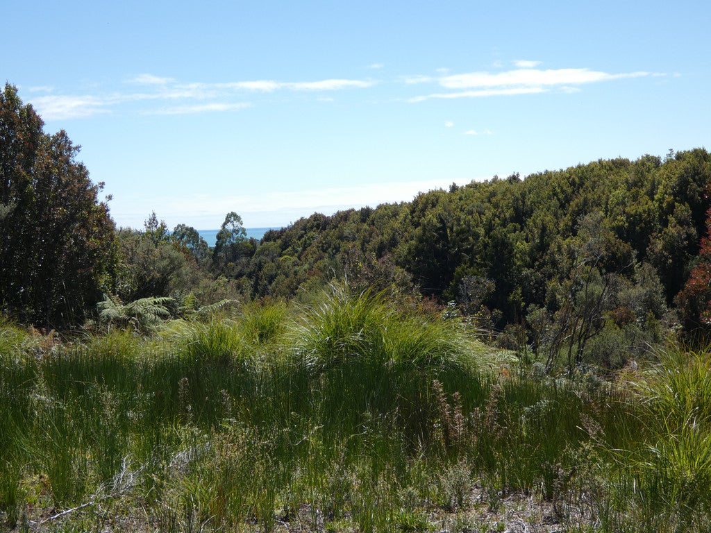 120 Brickfield Road, SEAVIEW, HOKITIKA - Carousel 11