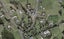 396 Frankley Road, Ferndale, NEW PLYMOUTH - Carousel 1