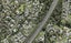 9C Olwyn Place, Greenhithe, Auckland - Carousel 1