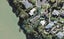 128 Aeroview Drive, Beach Haven, Auckland - Carousel 1