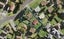13C Molley Green Place, Mount Roskill, Auckland - Carousel 1