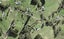66A Newman Road, Stillwater, Silverdale - Carousel 1