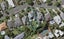 9 Seascape Road, Remuera, Auckland - Carousel 1