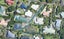 184 Carlton Street, Bellevue, Tauranga - Carousel 1