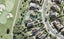 244 Alec Craig Way, Gulf Harbour, Whangaparaoa - Carousel 1