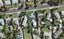 24 JUPITER ST, Papakura, Auckland - Carousel 1
