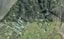 288A Pahoia Road, Whakamarama, Whakamarama - Carousel 1