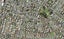 5C Glenshee Place, Highland Park, Auckland - Carousel 1