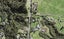 350 Oaia Road, Muriwai, Waimauku - Carousel 1