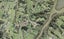 82 Lennon Access Road, Stillwater, Silverdale - Carousel 1
