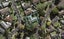 19 Meadowcourt Drive, Manukau, Auckland - Carousel 1