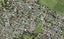 7D Edgerton Road, Te Atatu Peninsula, Auckland - Carousel 1