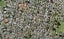 15E Holland Avenue, Point England, Auckland - Carousel 1