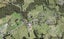 369 Henderson Valley Road, Henderson Valley, Auckland - Carousel 1