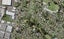 13E Torino Street, Point England, Auckland - Carousel 1