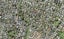 6C Orinda Close, Botany Downs, Auckland - Carousel 1