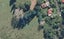 0 Weka Street, Ohura, Ohura - Carousel 1