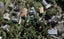 30C Umere Crescent, Ellerslie, Auckland - Carousel 1
