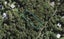 57 Glen Brook Road, Omiha, Waiheke Island - Carousel 1