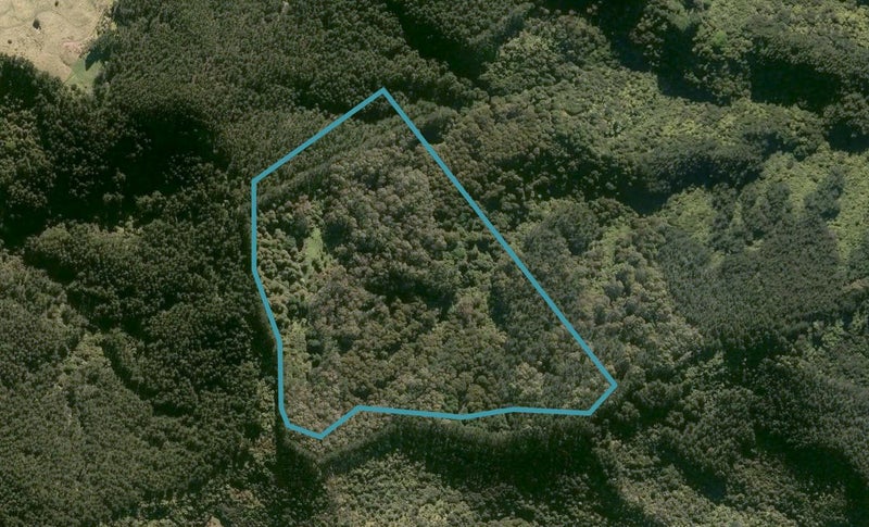 0 Honeymoon Valley Road, Peria, Kaitaia - Carousel 1