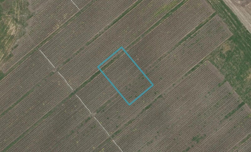 25 Ambrosia Street, Appleby, Richmond - Carousel 1