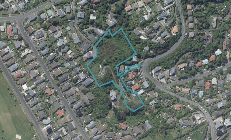142A Ravenswood Road, Saint Clair, Dunedin - Carousel 1