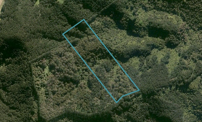 454B Honeymoon Valley Road, Peria, Kaitaia - Carousel 1