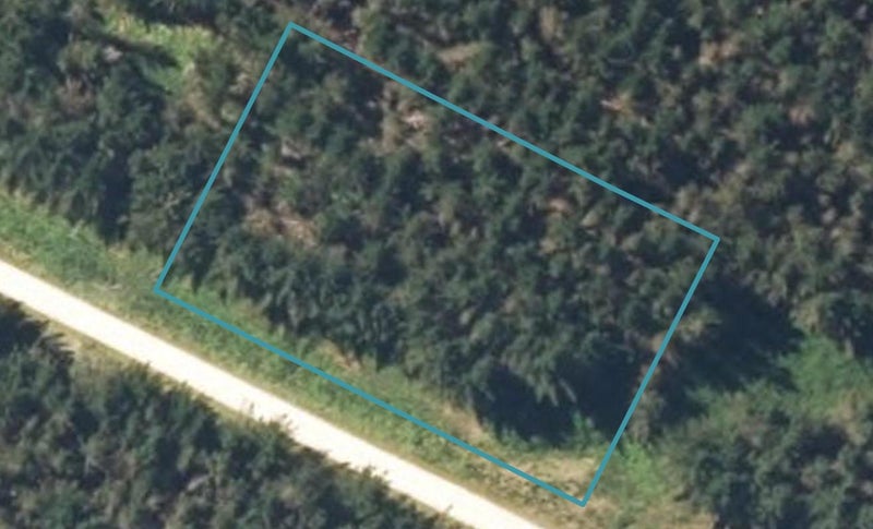 0 Snowy River Road, Ikamatua, Totara Flat - Carousel 1