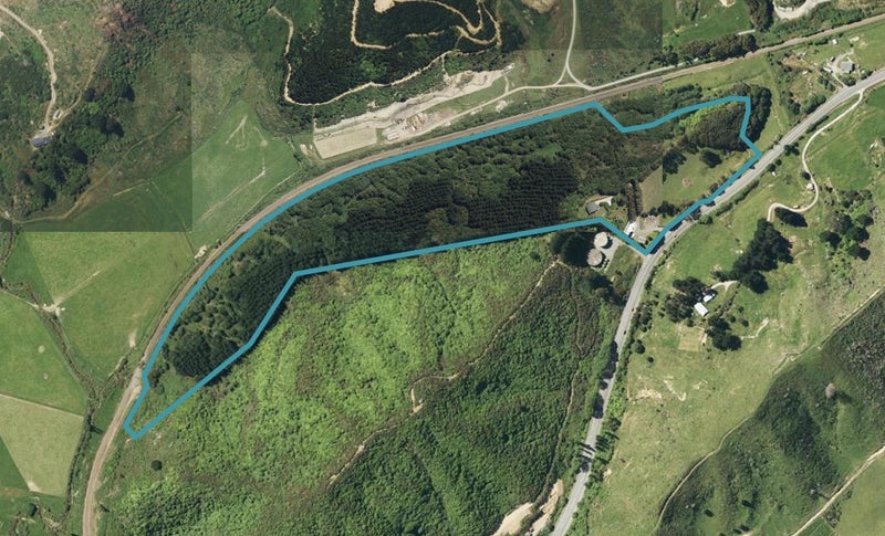 364 Koromiko, MOUNT PLEASANT, BLENHEIM - Carousel 1