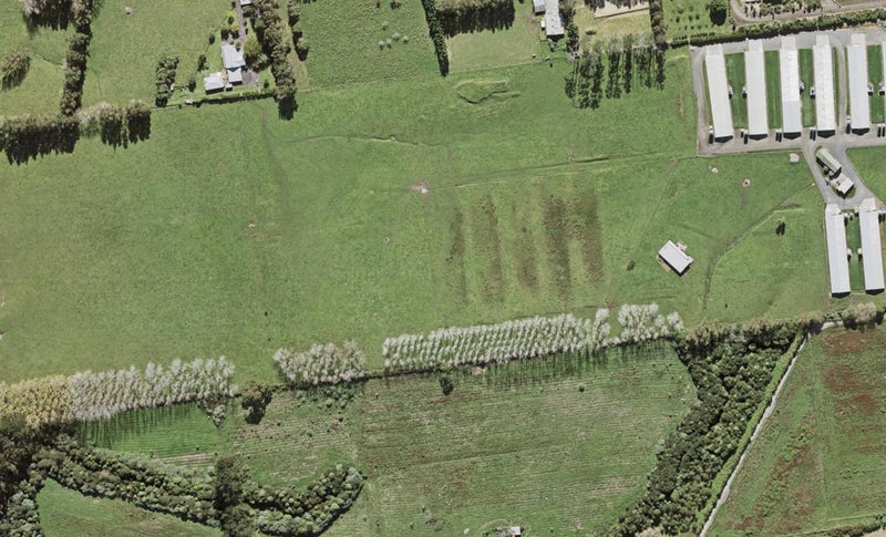 4 Toetoe Street, Westgate, Auckland - Carousel 1