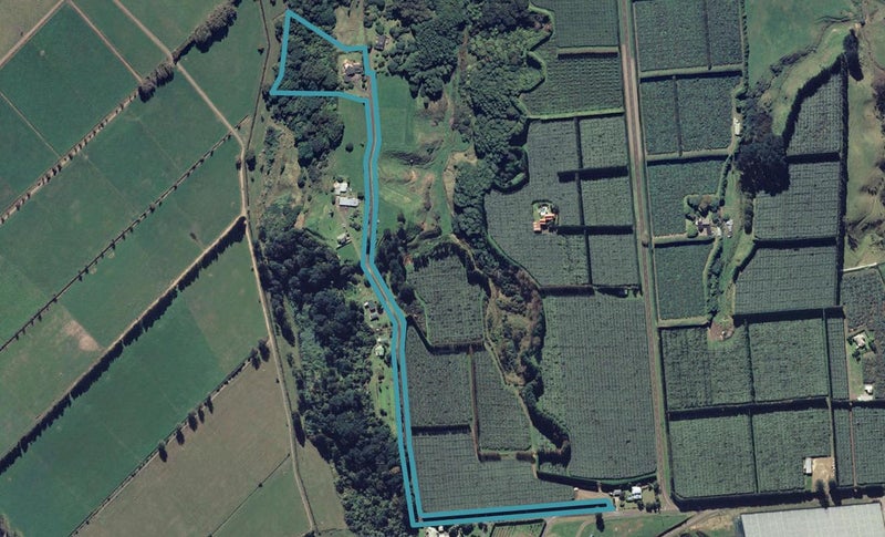 97 Beach Road Extension, Tirohanga, Ōpōtiki - Carousel 1