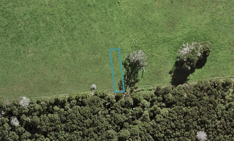 42 Te Aniwaniwa Terrace, Albany, Auckland - Carousel 1